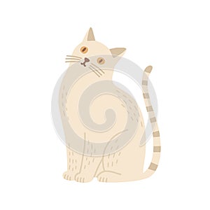 Domestic cat flat vector illustration. Childish soft toy, kid plaything, interior decor element. Sitting kitten, home