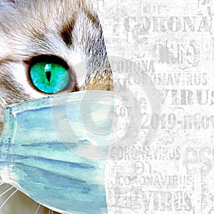 Domestic cat with green eyes wearing protective face mask, coronavirus lettering newspaper