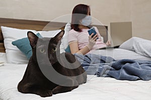 A domestic cat is lying on the bed against the background of a girl in a mask