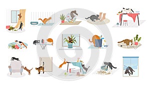 Domestic cats. Pets bad behavior in home interior destroying rooms recent vector cartoon illustrations