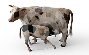 The nursing Cow with Calf, 3D Illustration photo