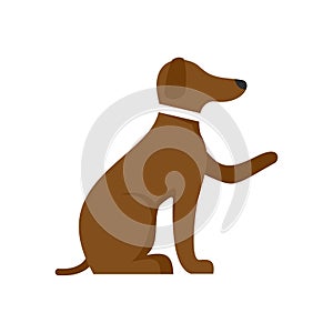 Domestic dog training icon flat isolated vector