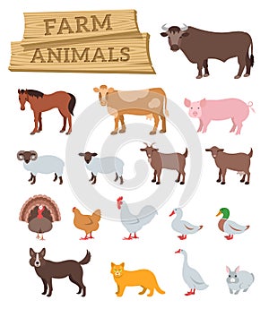 Domestic farm animals flat vector icons photo