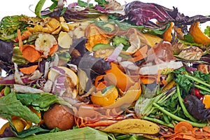 Domestic food waste for compost from fruits and vegetables on white background.