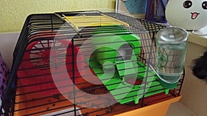 A domestic hamster lives in a cage. The life of a pet