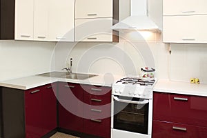 Domestic Kitchen interior design