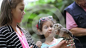 Domestic owl. girl holding on hand and strokes a small motley owl. close-up. in the forest, park for a walk, summer day.