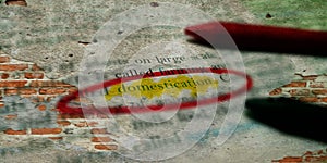 domestication text written on wall textures abstract photo