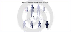 Dominant inheritance pattern