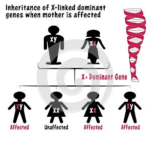 Dominant x-linked with affected mother