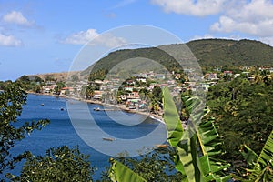 Dominica