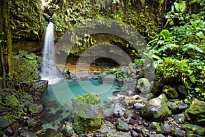 Dominica Explorations photo