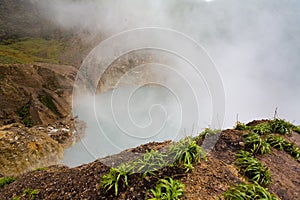 Dominica Explorations