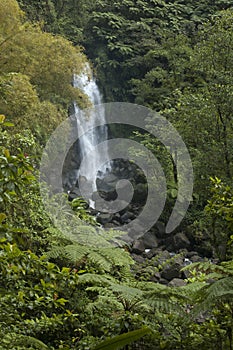 Dominica Waterfall