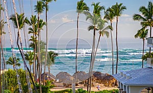 Dominican beach on the Atlantic coast of Bavaro