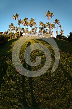 Dominican coast with shadow