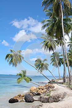 Dominican republic, beach