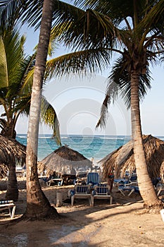 Dominican Republic Caribbean Coastline tropical beach photo