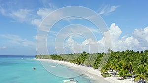 Dominican Republic Bounty palm beach blue ocean background. Tropical palm beach and sea. Nature paradise island background.