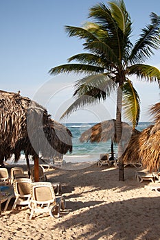 Dominican Republic Caribbean Coastline tropical beach photo