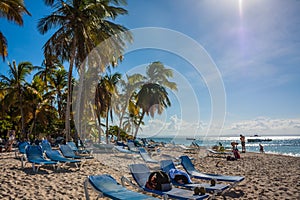 Dominican Republic. 20 NOVEMBER 2021. Caribbean beach with a lot of palms and white sand, sunbeds. Sunny warm day at the sea under