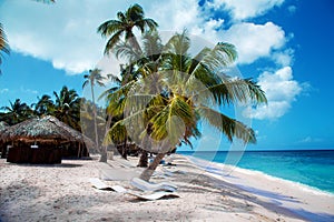 Dominican Republic, Punta cana, Saona Island - Mano Juan Beach.