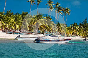 Dominican Republic, Punta cana, Saona Island - Mano Juan Beach.