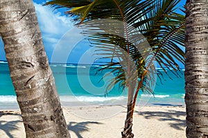 Dominican Republic, Punta cana, Saona Island - Mano Juan Beach. Fishermen`s village photo