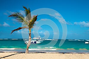 Dominican Republic, Punta cana, Saona Island - Mano Juan Beach. Fishermen`s village photo