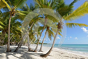 Dominican Republic, Saona Island