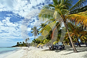 Dominican Republic, Saona Island - Mano Juan Beach