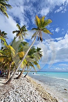 Dominican Republic, Saona Island - Mano Juan Beach