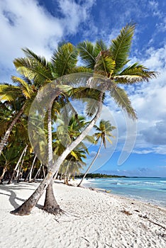 Dominican Republic, Saona Island - Mano Juan Beach