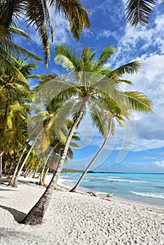 Dominican Republic, Saona Island - Mano Juan Beach