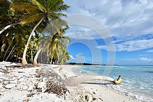 Dominican Republic, Saona Island - Mano Juan Beach