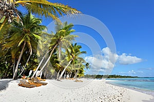 Dominican Republic, Saona Island - Mano Juan Beach