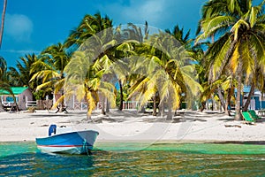 Dominican Republic, Punta cana, Saona Island - Mano Juan Beach. photo