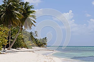 Dominicana beach resort photo