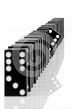 Domino 8