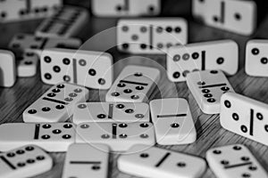 Domino game for the whole family