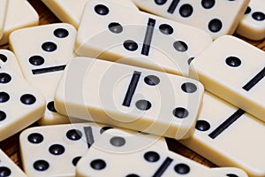 Domino game for the whole family
