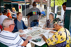 Domino Park Miami