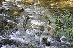 Domogled - Valea Cernei National Park River details from Caras-Severin County in Romania