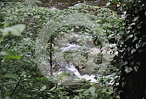 Domogled - Valea Cernei National Park River details from Caras-Severin County in Romania