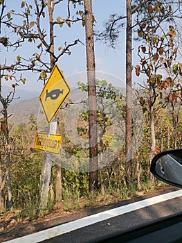 Don Inthanon - National park on North Thailand & x28;height 2565 m& x29;.