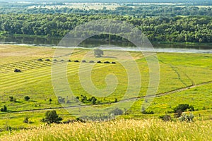 Don river valley in early summer