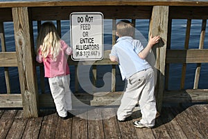 Don't Feed the Alligators