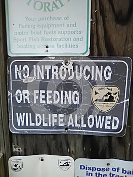 Don& x27;t feed the aquatic wildlife sign