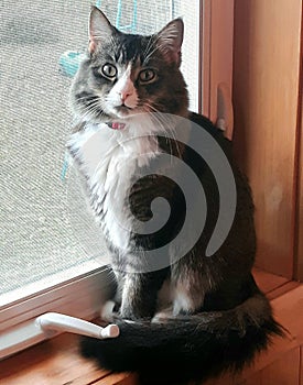 Don& x27;t hate me because I& x27;m beautiful