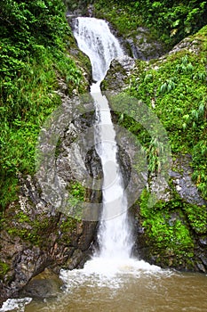 Dona Juana Falls - Puerto Rico photo